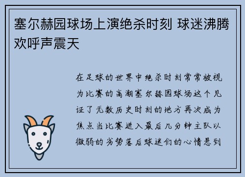 塞尔赫园球场上演绝杀时刻 球迷沸腾欢呼声震天