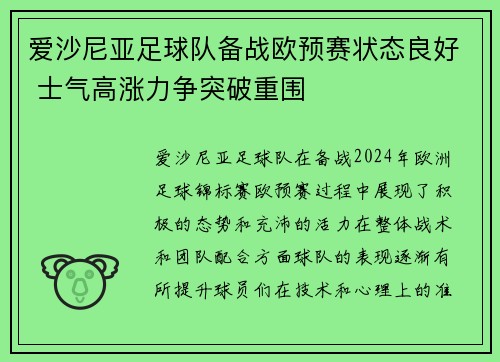 爱沙尼亚足球队备战欧预赛状态良好 士气高涨力争突破重围