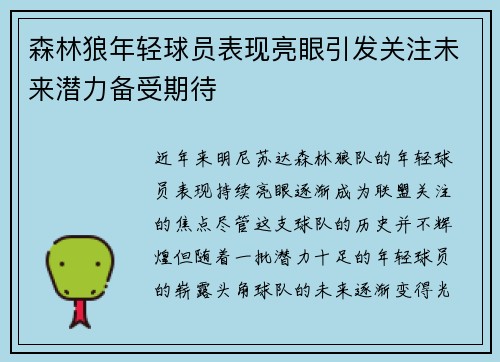 森林狼年轻球员表现亮眼引发关注未来潜力备受期待