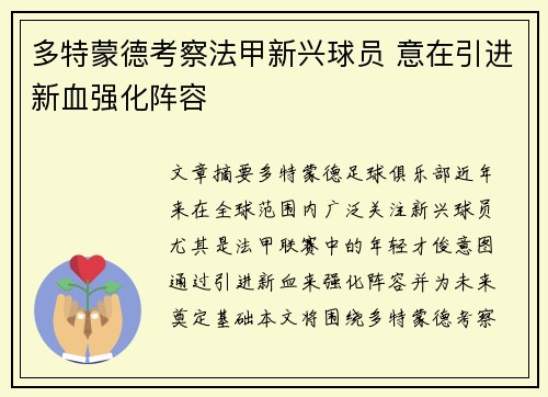 多特蒙德考察法甲新兴球员 意在引进新血强化阵容