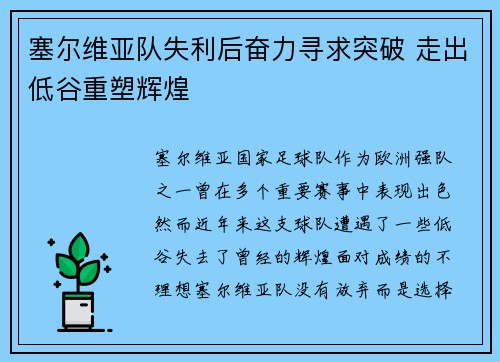 塞尔维亚队失利后奋力寻求突破 走出低谷重塑辉煌